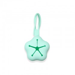 Silicone Pacifier Case Mint Star