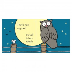 That's Not My Owl... by Fiona Watt